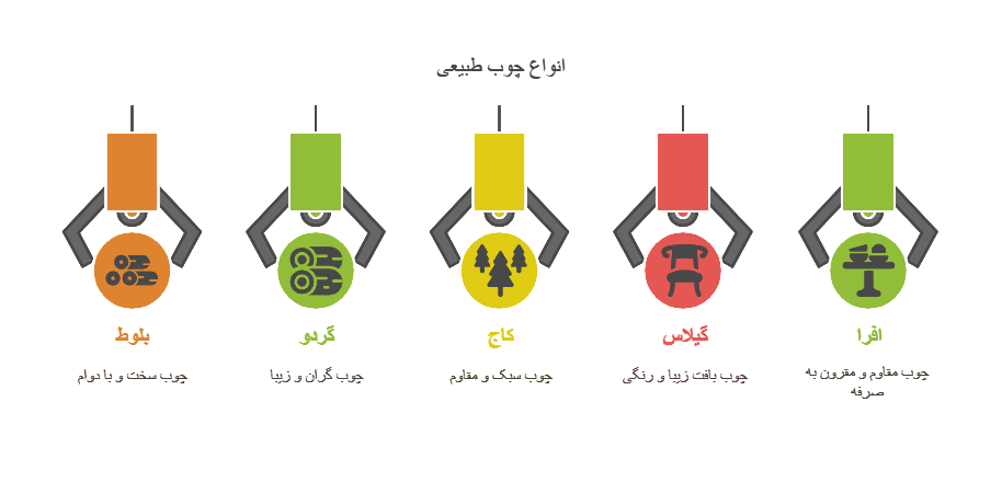 اینفوگرافیک انواع چوب طبیعی